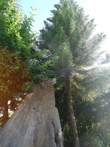 Классный отдых!