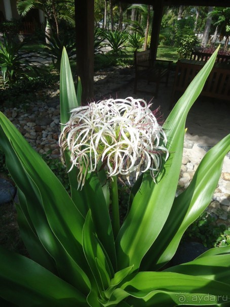 Классный отдых!