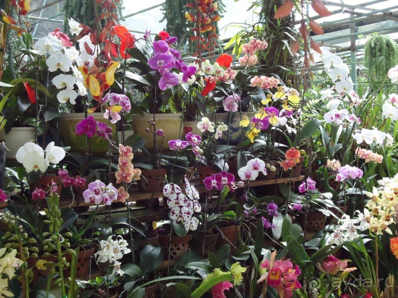 Классный отдых!