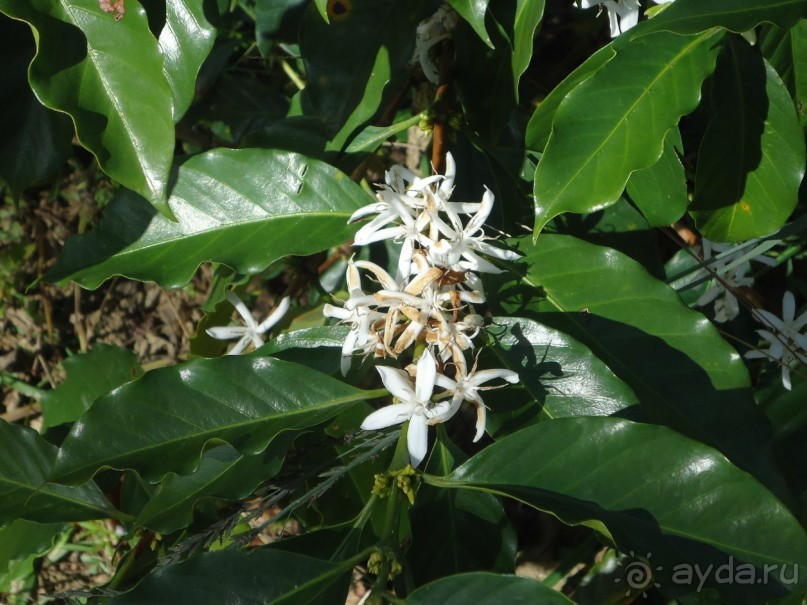 Классный отдых!