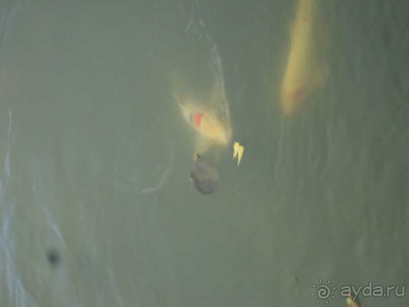 фото Leelawadee Lagoon Resort