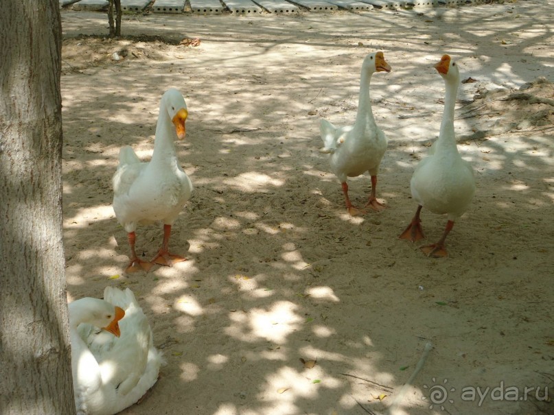 фото Leelawadee Lagoon Resort