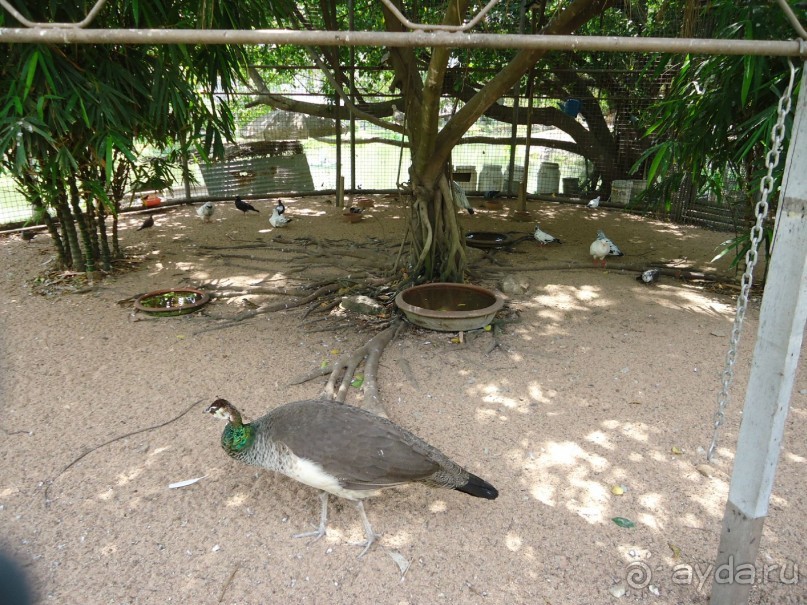 фото Leelawadee Lagoon Resort