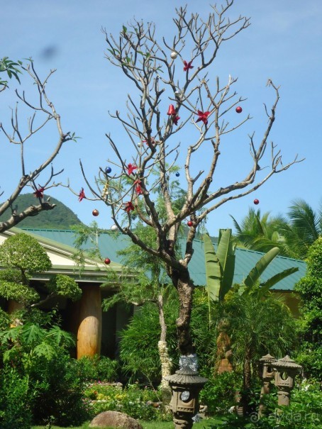 Обязательно туда вернусь!!!