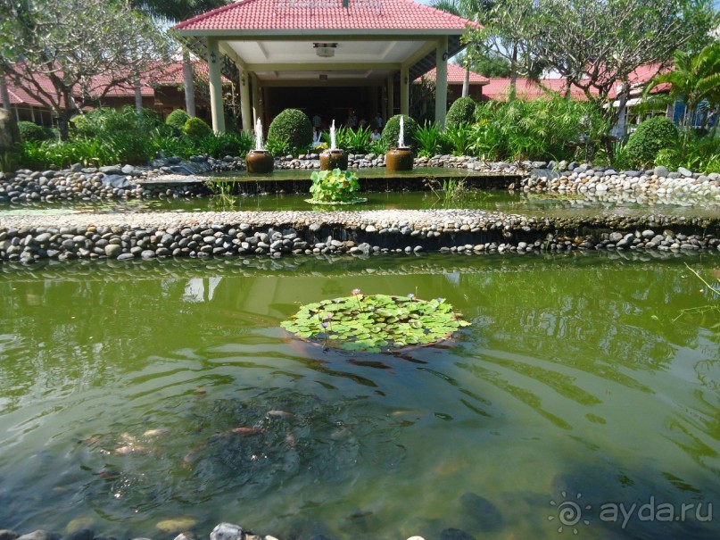 Обязательно туда вернусь!!!