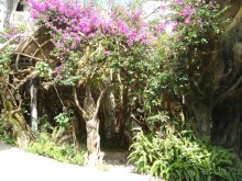 Это нужно посмотреть!