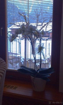 Австрийский  уют и гостеприимство