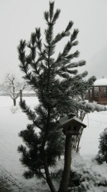 Австрийский  уют и гостеприимство