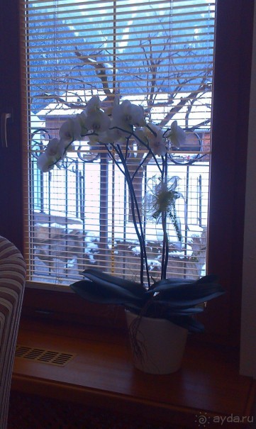 Австрийский  уют и гостеприимство