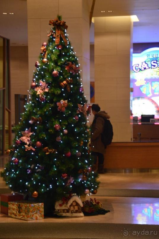 Немного об Alpensii.....