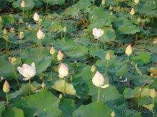 Впечатления о Камбодже