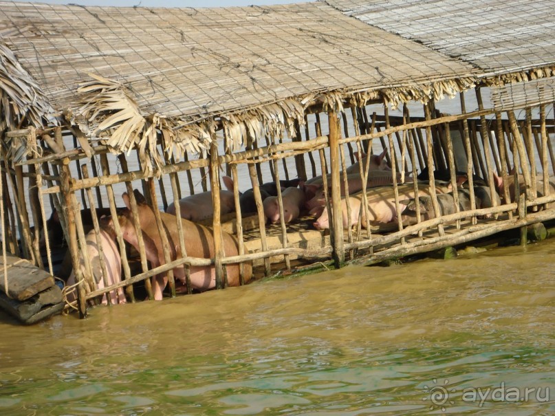 Впечатления о Камбодже