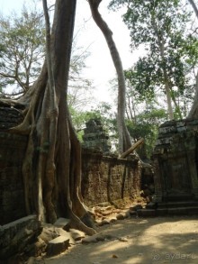 Впечатления о Камбодже