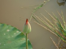 Впечатления о Камбодже