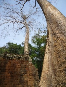 Впечатления о Камбодже