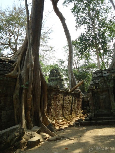 Впечатления о Камбодже