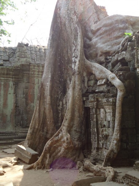 Впечатления о Камбодже