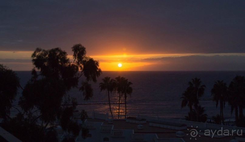 Тенерифе. Отель IBEROSTAR Torviscas Playa.