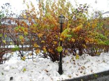 отель Солнечный + все включено