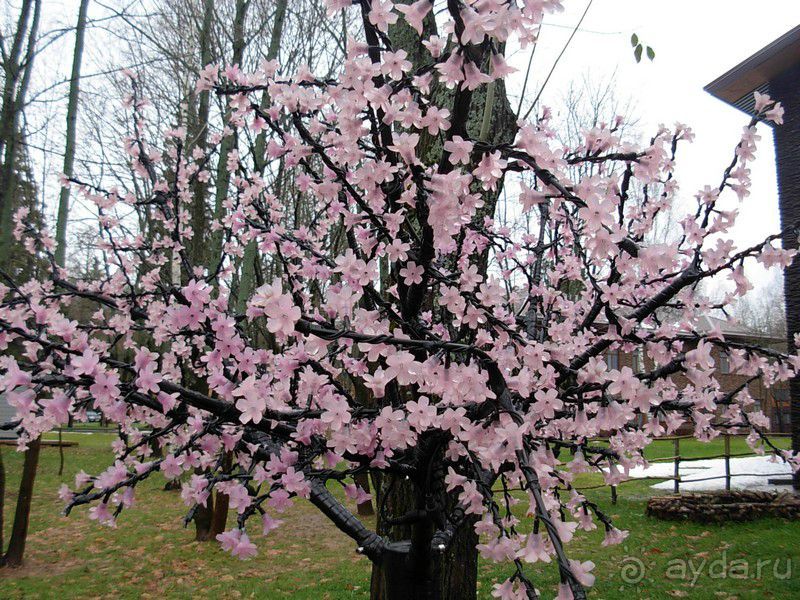 фото Porto Elounda de Luxe Resort