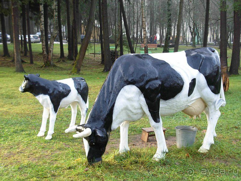 фото Porto Elounda de Luxe Resort