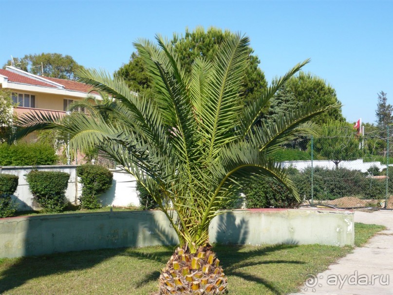 фото Master Family Club