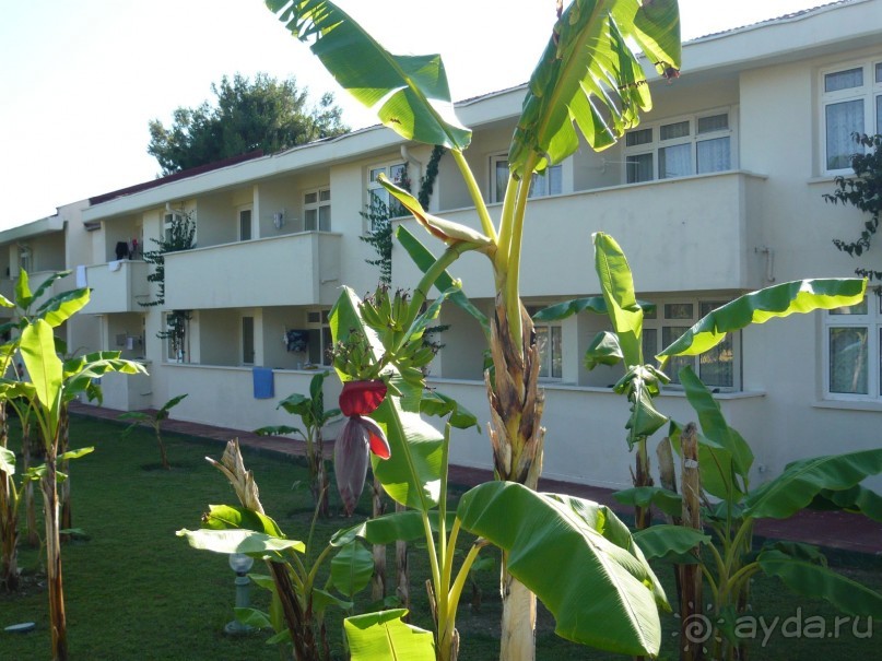 фото Master Family Club