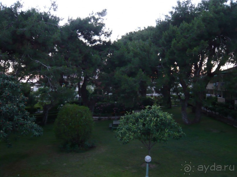 фото Master Family Club