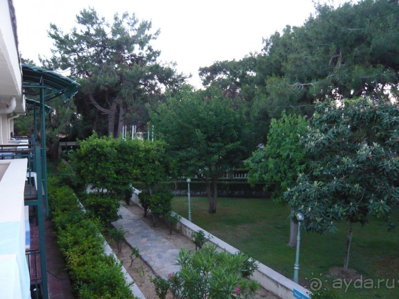 А мы поехали - и ни разу не пожалели:очень гостеприимный отель!