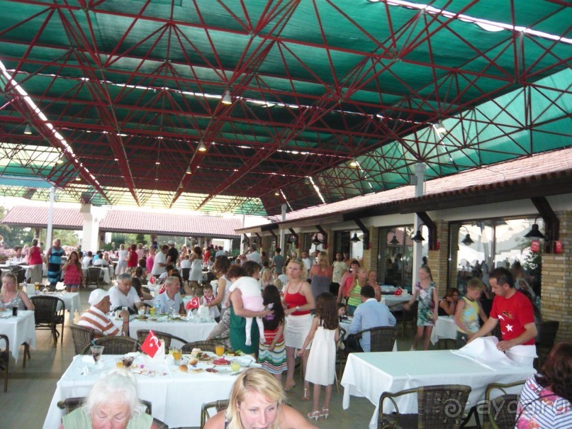 А мы поехали - и ни разу не пожалели:очень гостеприимный отель!