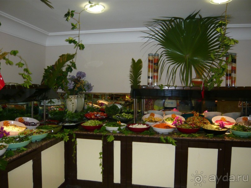 А мы поехали - и ни разу не пожалели:очень гостеприимный отель!