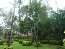 фото Hotel Praga