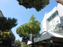  отель соответствует цене 3 звезды-но жена хозяина не выносимая злая тётя