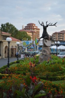 Подарок от ayda.ru или бесплатно за отзывы в Болгарию!