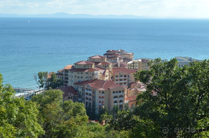 Подарок от ayda.ru или бесплатно за отзывы в Болгарию!