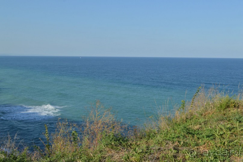 Подарок от ayda.ru или бесплатно за отзывы в Болгарию!