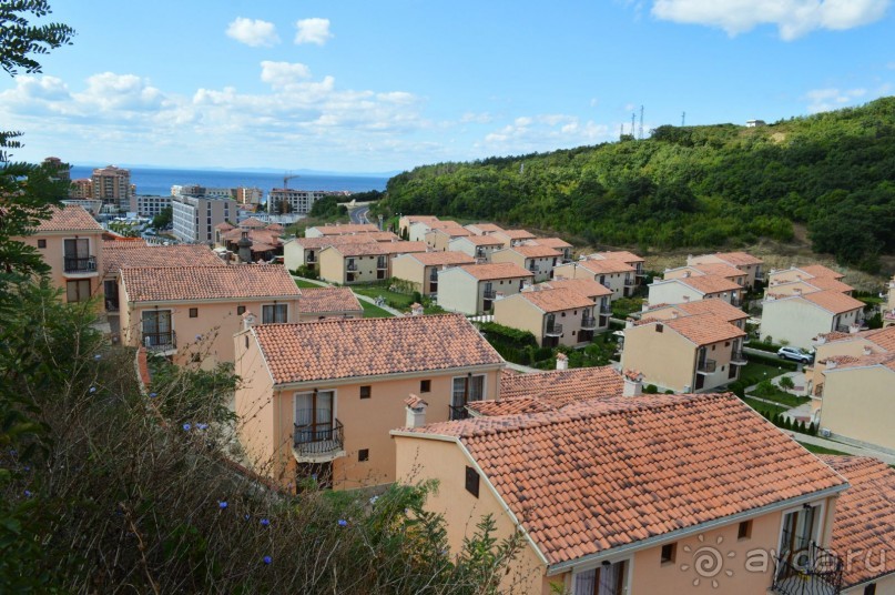 Подарок от ayda.ru или бесплатно за отзывы в Болгарию!