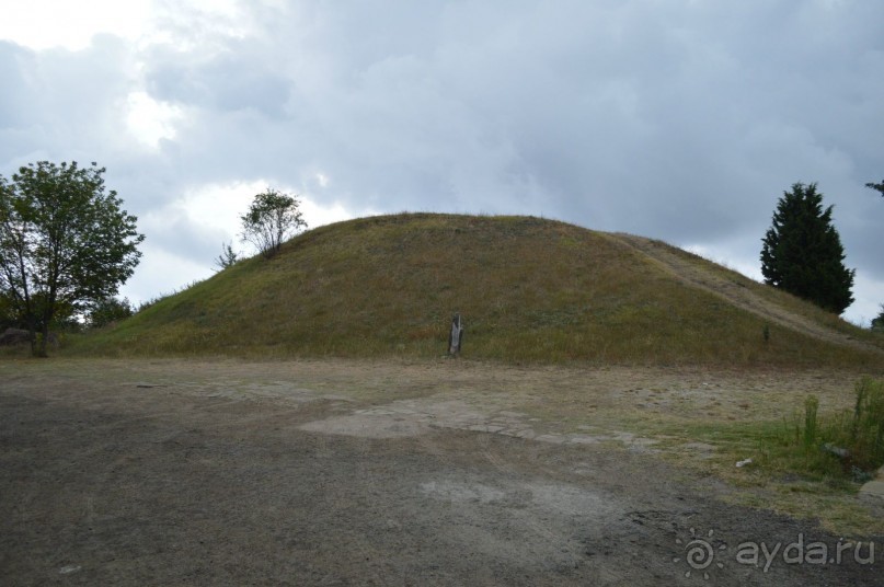 Подарок от ayda.ru или бесплатно за отзывы в Болгарию!