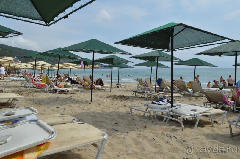 Подарок от ayda.ru или бесплатно за отзывы в Болгарию!