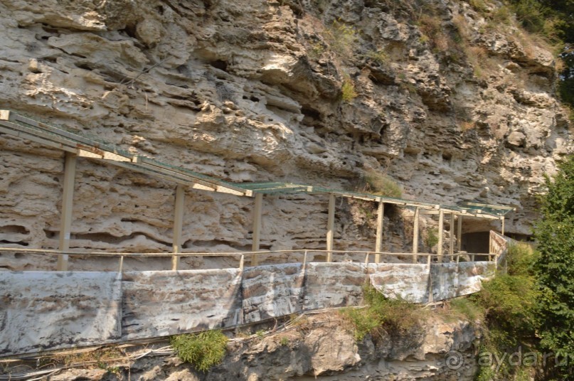 Подарок от ayda.ru или бесплатно за отзывы в Болгарию!