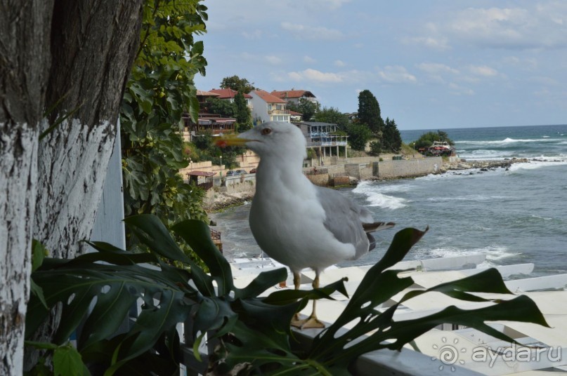 Вилла Романа (Villa Romana) Елените, Болгария
