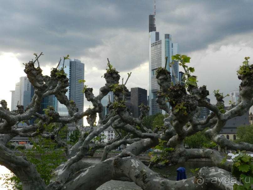 Набережная 