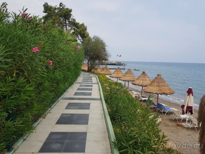 фото FashionTV Luxe Resort