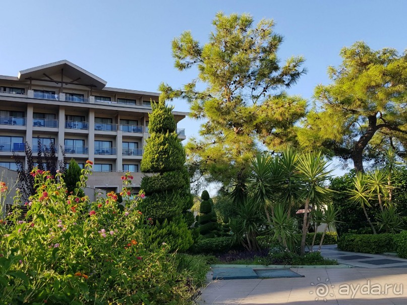 Обходите стороной этот отель!