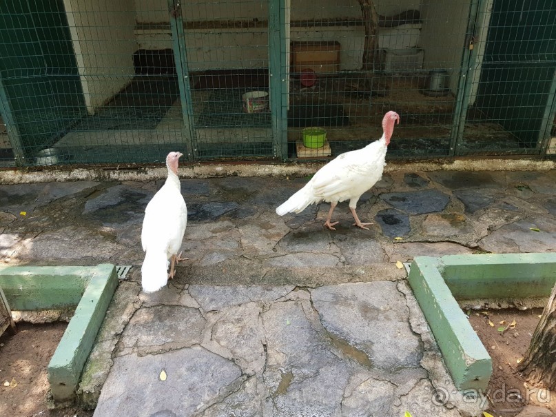 Обходите стороной этот отель!