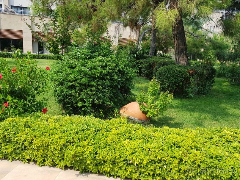 Обходите стороной этот отель!