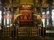 Место где хранится зуб