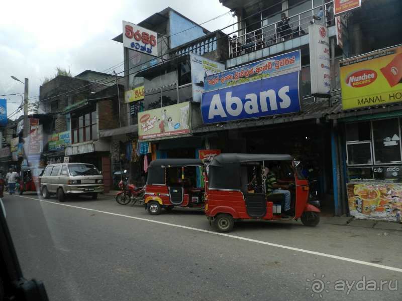 Просто вид из окна