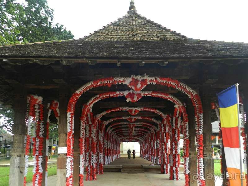 Беседка галлерея урашена цветами