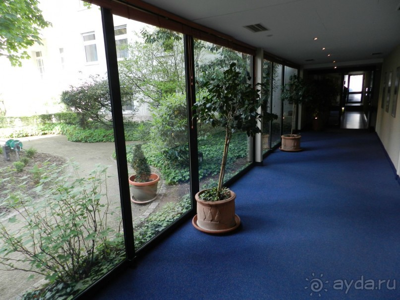 Hotel Savigny Frankfurt 4* или четверка на пятерку